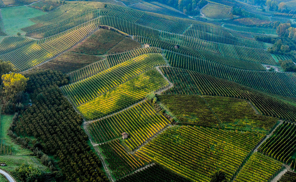 In flight above the Langhe
